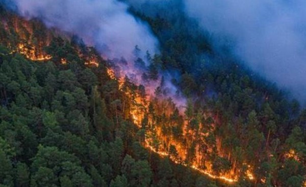 النيران تحيل 20 ألف هكتار من غابات ولاية أوريجون الأمريكية إلى رماد