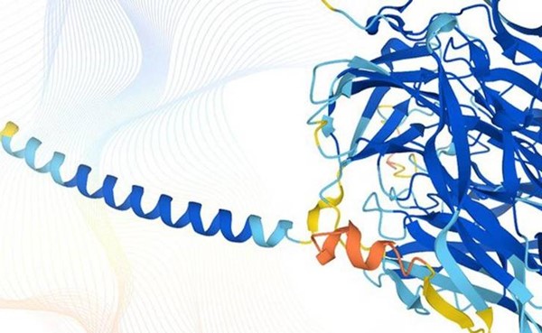 طرح أكبر قاعدة بيانات عن البروتينات في العالم