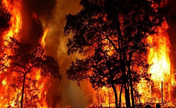 السيطرة على حريق غابات في جنوب إسبانيا بعد اشتعاله لمدة 6 أيام