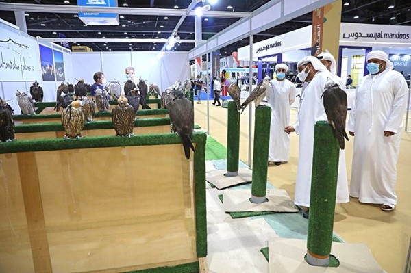 نجاح كبير لمعرض صيد وفروسية أبوظبي الدولي