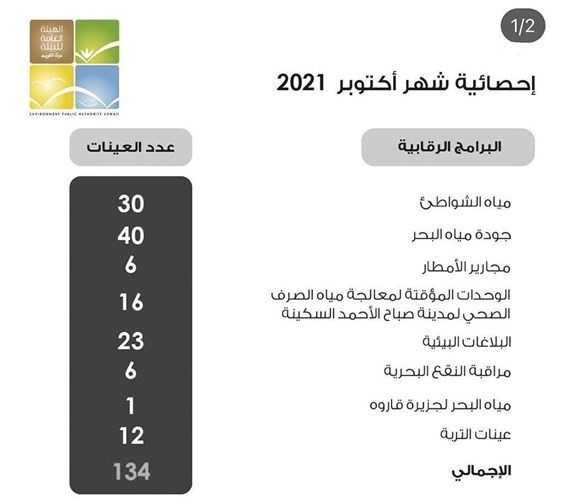 «البيئة» تفرج عن 6512 شحنة مواد كيميائية