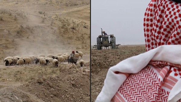 بالفيديو.. لا حصاد يكفيهم قوتهم.. فلّاحون في شمال العراق يهجرون أرضهم بسبب الجفاف