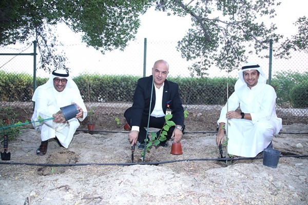 زراعة الشتلات