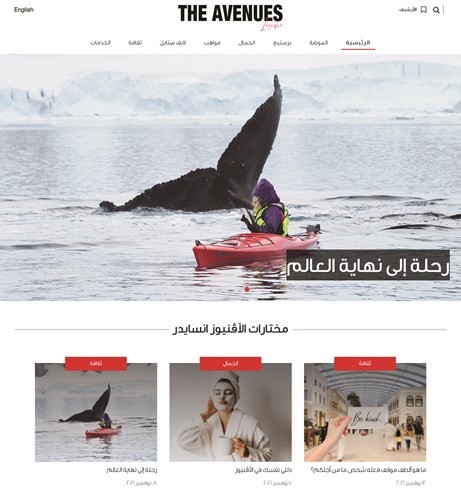 منطقة الأڤنيوز انسايدر