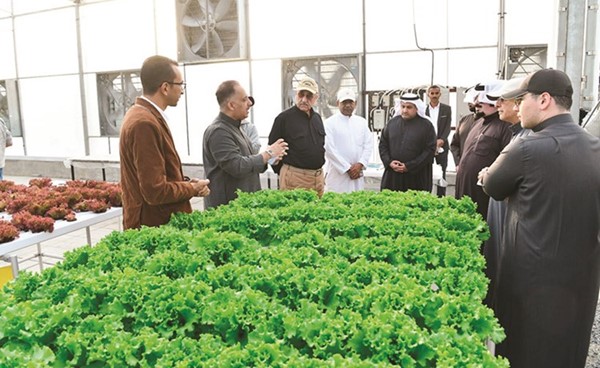 الشيخ محمد اليوسف خلال جولته بمزرعة فوزي القطان في الوفرة الزراعية