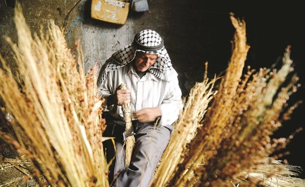 مسن فلسطيني يصنع مكانس القش في ورشته بالضفة الغربية المحتلة	(رويترز)