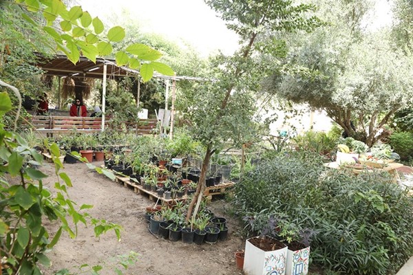 الحديقة النموذجية الصديقة للبيئة في ثانوية الجزائر