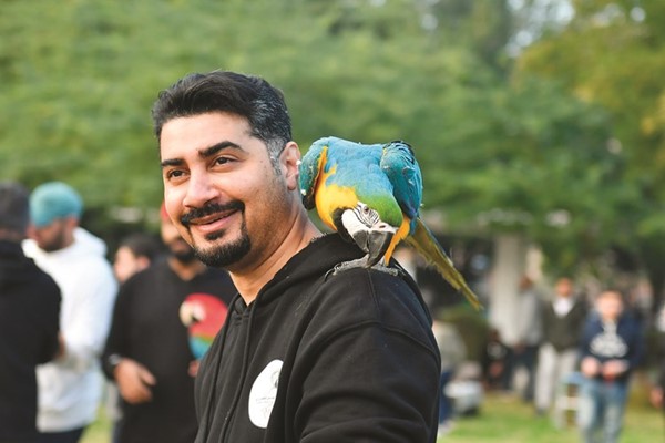 طائر المكاو على الكتف خلال المهرجان