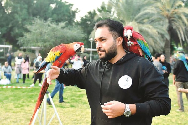 أحد عشاق طيور المكاو خلال المهرجان