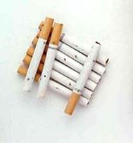 حشرة التبغ تحدث ثقوبا في السجائر