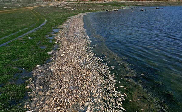 تلوث أكبر بحيرة اصطناعية في لبنان يشل الصيادين والمرافق السياحية