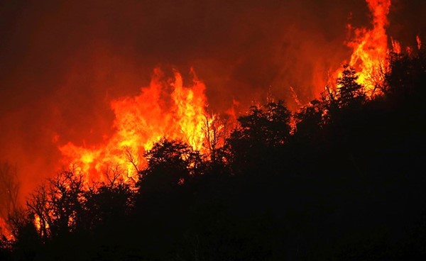 ألسنة النيران على بعد 50 كم من باريلوتشي 	(أ.ف.پ)