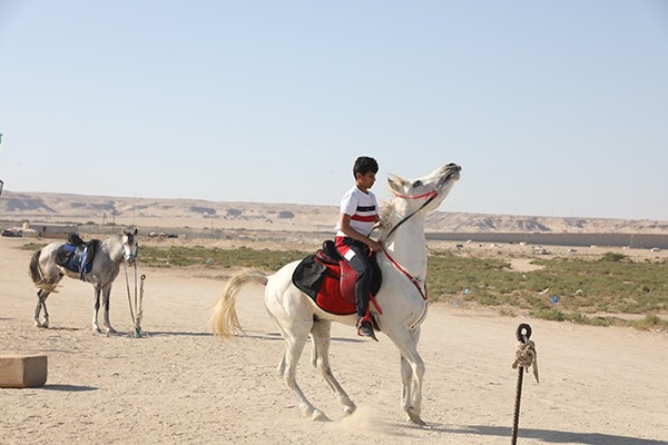 ركوب الخيل
