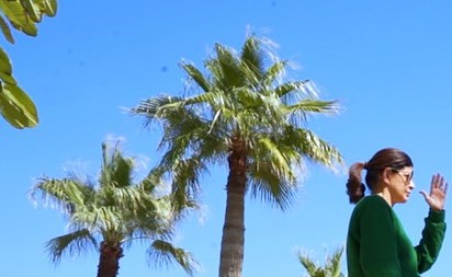 فارعة السقاف، مدربة تحرير الإبداع والرئيس التنفيذي لأكاديمية لابا