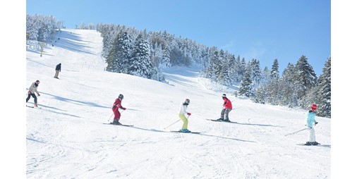 Dutch students cut short skiing trip after suspicion