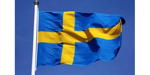 The Swedish government is investigating the role of the state
