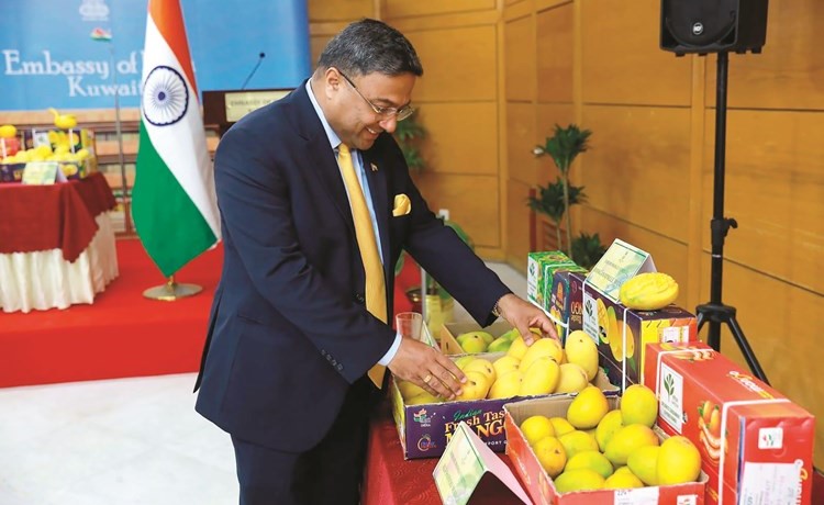 السفير الهندي سيبي جورج خلال مهرجان تذوق المانجو الهندية