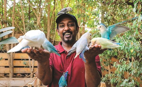 سوداني يحوّل فناء منزله إلى محمية طبيعية للطيور