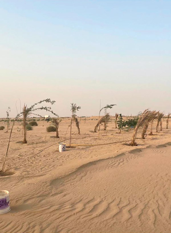 عبدالهادي العجمي ينشئ محمية «عصيفيرات» الطبيعية قرب الوفرة
