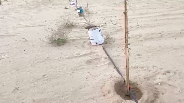 عبدالهادي العجمي ينشئ محمية «عصيفيرات» الطبيعية قرب الوفرة