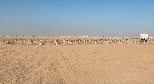 عبدالهادي العجمي ينشئ محمية «عصيفيرات» الطبيعية قرب الوفرة