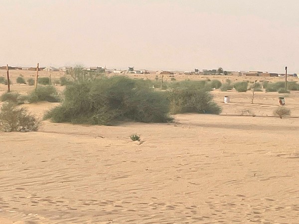 عبدالهادي العجمي ينشئ محمية «عصيفيرات» الطبيعية قرب الوفرة