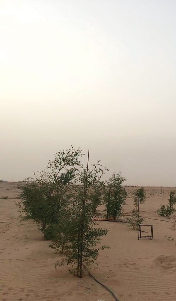 عبدالهادي العجمي ينشئ محمية «عصيفيرات» الطبيعية قرب الوفرة