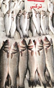 باعة سوق السمك لـ «الأنباء»: التجار رفعوا سعر التركي والنرويجي 40 %