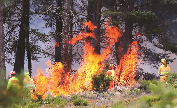 رجال إطفاء يحاولون إخماد النيران التي اشتعلت في الغابات بإسبانيا أمس	(رويترز)