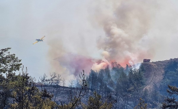 فرق الإطفاء تواصل لليوم الثالث مكافحة حرائق الغابات غربي تركيا