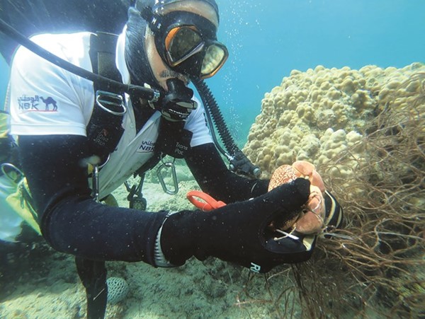 الحفاظ على الشعاب المرجانية