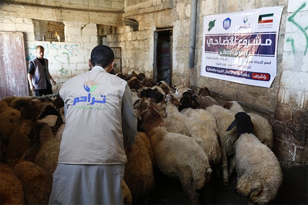 "تراحم الخيرية" أكثر من 35 ألف مستفيد من مشروع الأضاحي في 21 دولة