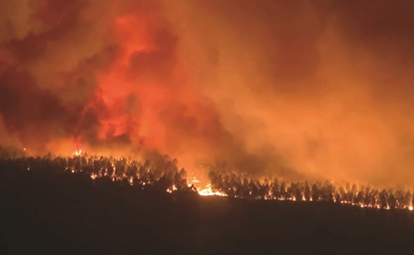 جانب من جهود إخماد الحرائق التي دمرت 6 آلاف هكتار من غابات جيروند في أقل من 24 ساعة (رويترز)