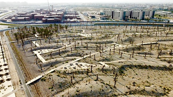 جامعة الكويت تنتهي من تسلّم أعمال الطرق والزراعة التجميلية بمدينة صباح السالم الجامعية
