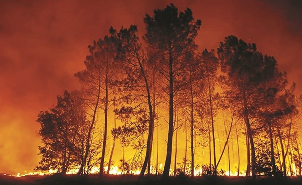 جانب من النيران في غابات منطقة جيروند الفرنسية الجمعة (رويترز)
