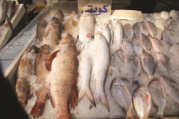 ثبات نسبي في أسعار الأسماك الكويتية