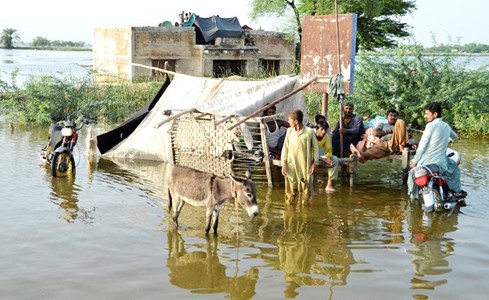 باكستان «محيط كبير» والملايين تحت وطأة أسوأ فيضانات منذ عقود