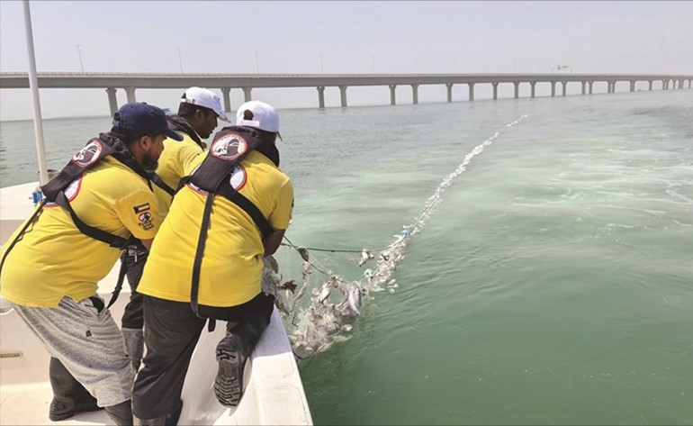 فريق الغوص الكويتي خلال رفع كمية من شباك الصيد المهملة من جون الكويت