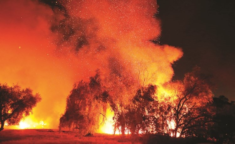 جانب من الحرائق في مقاطعة هيميت بكاليفورنيا 	(رويترز)
