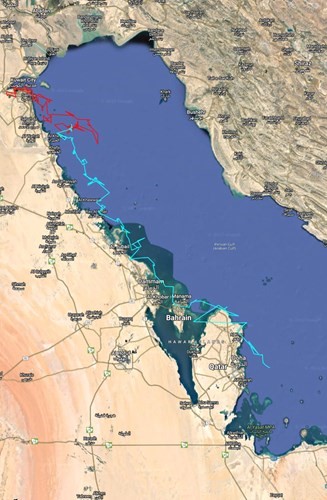 اللون الاحمر السلحفاة الاولى ما زالت في الكويت اللون الاخضر السلحفاة الثانية وصلت إلى قطر متجهة نحو الامارات