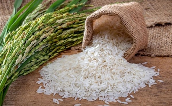 تراجع إنتاج الهند من الأرز بنسبة 6.1 % على أساسي سنوي