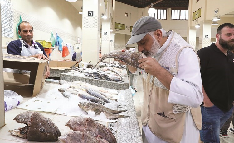 عبدالله الصديقي خلال فحص الأسماك بسوق السمك	(زين علام)
