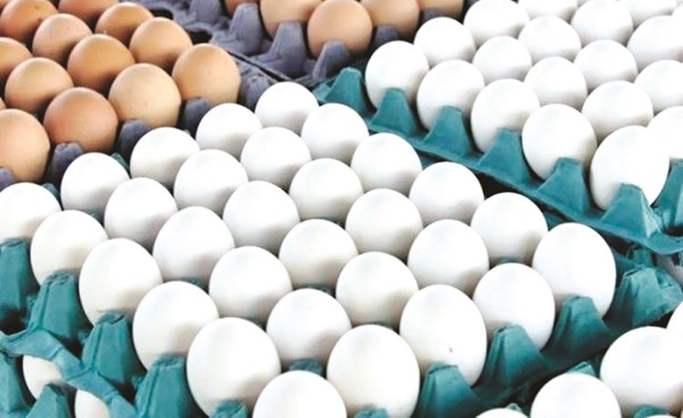 مصادر لـ «الأنباء»: دراسة تفصيلية من «التجارة» عن أسعار البيض قريباً.. وتطبيق القانون على الأسعار المصطنعة