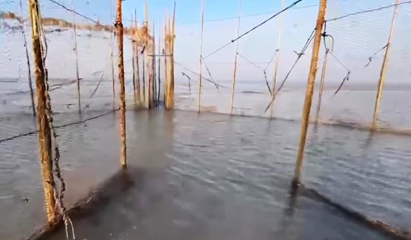 حظائر الاسماك على جزيرة فيلكا
