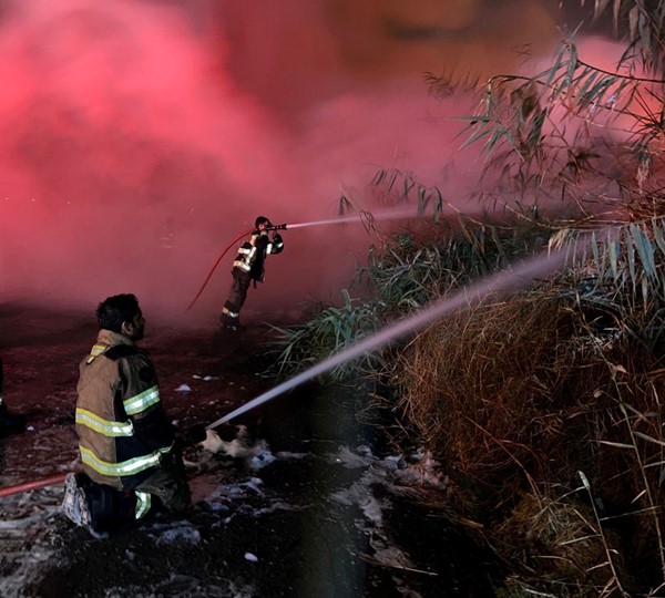 بالفيديو.. السيطرة على حريق التهم اشجارا في منطقة الجهراء الزراعية