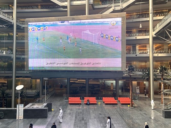 بطولة كأس العالم حاضرة في «التربية»
