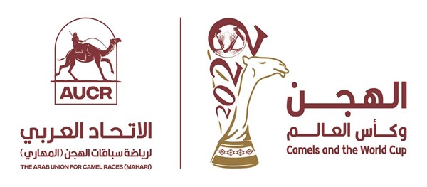 الكويت تشارك بمهرجان الهجن «المهاري» في الدوحة