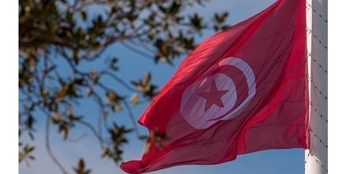 تونس والفاو توقعان مشروعين جديدين في مجال الاستثمار الزراعي تونس والفاو توقعان مشروعين جديدين في مجال الاستثمار الزراعي