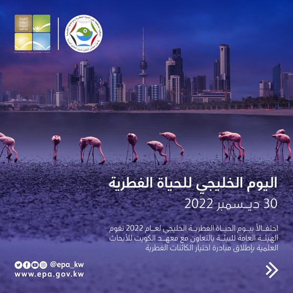 «البيئة» تطلق مبادرة اختيار الكائنات الفطرية الوطنية للكويت