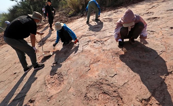 علماء حفريات يحددون نوعا جديدا من الروبيان